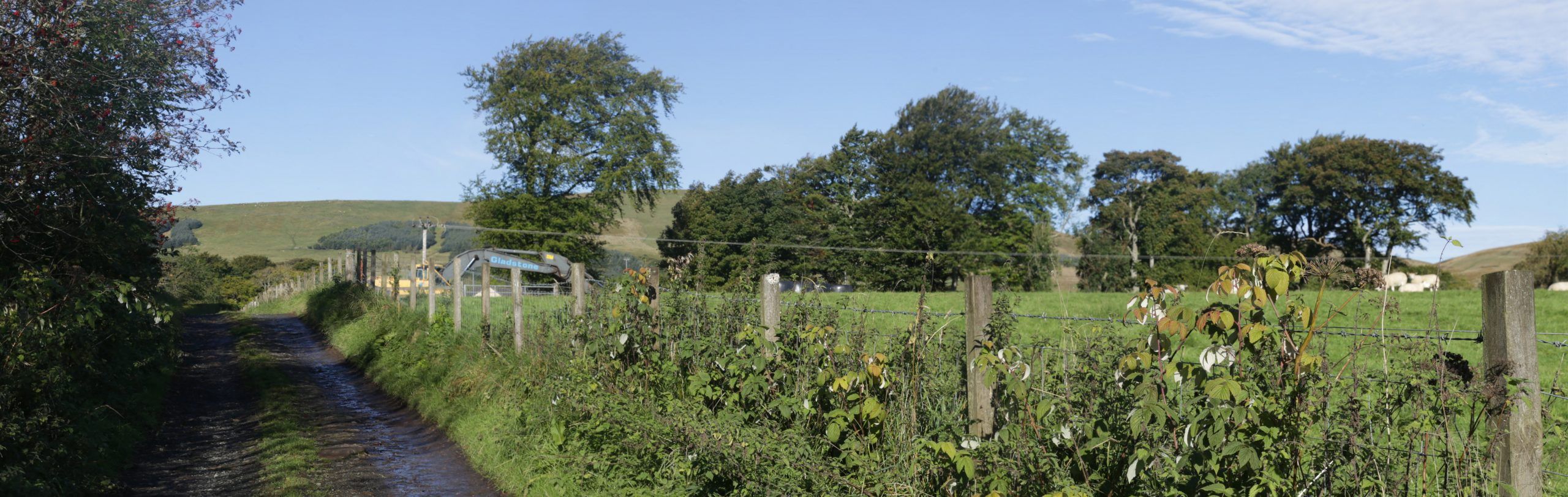 Peggyslea VP02 Baseline Photograph